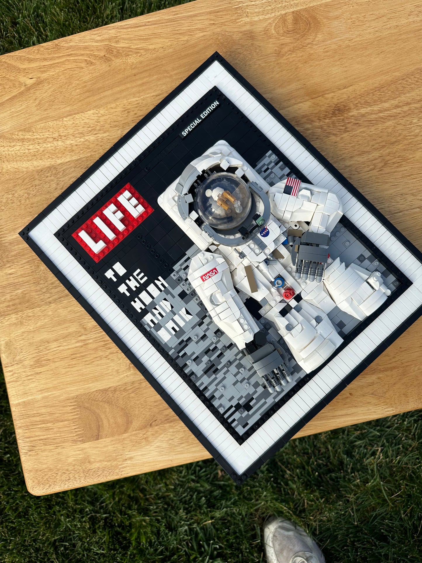 Life Astronaut Framed