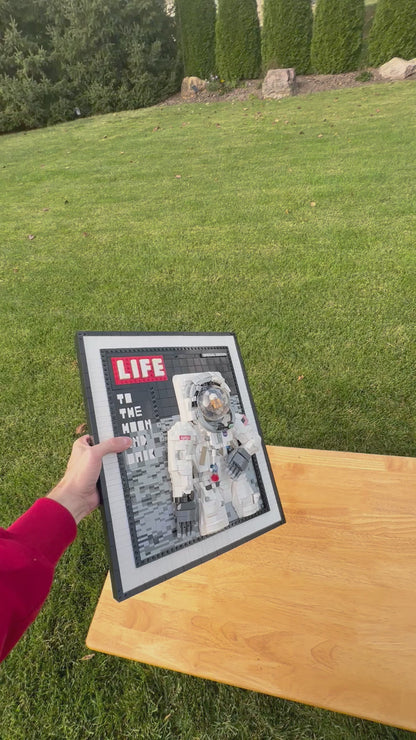 Life Astronaut Framed